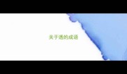 关于透的成语