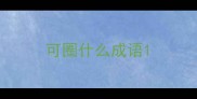 可圈什么成语