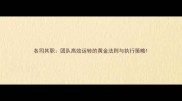 各司其职团队高效运转的黄金法则与执行策略