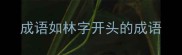 成语如林字开头的成语