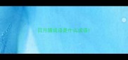 日月猜成语是什么成语