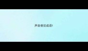 声音感觉成语