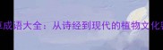 香草成语大全从诗经到现代的植物文化密码