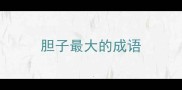胆子最大的成语