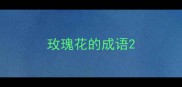 玫瑰花的成语