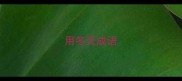 用冬天成语