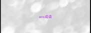 ans成语