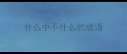 什么中不什么的成语
