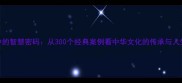 成语中的智慧密码从300个经典案例看中华文化的传承与人生启示