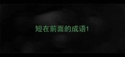 短在前面的成语