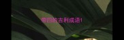 带四的吉利成语