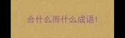 合什么而什么成语