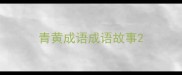 青黄成语成语故事