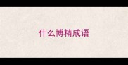 什么博精成语