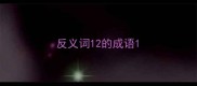 反义词12的成语