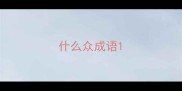什么众成语