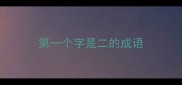 第一个字是二的成语