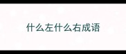 什么左什么右成语