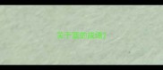 关于篮的成语