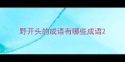 野开头的成语有哪些成语