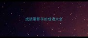 成语带影字的成语大全