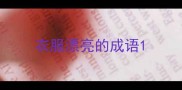 衣服漂亮的成语