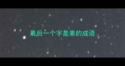 最后一个字是素的成语
