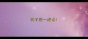 钩子愿一成语