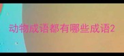 动物成语都有哪些成语