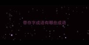 带存字成语有哪些成语
