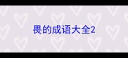 畏的成语大全
