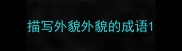 描写外貌外貌的成语