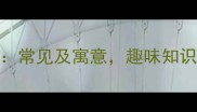 兔的三个字成语常见及寓意趣味知识助你快速掌握