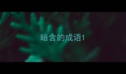 暗含的成语