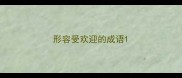 形容受欢迎的成语