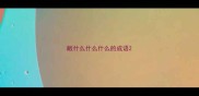 敝什么什么什么的成语