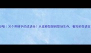蜂语妙喻30个带蜂字的成语全从蜜蜂智慧到职场生存看完秒变语言王者