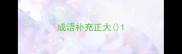 成语补充正大