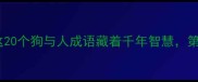 人狗情未了这20个狗与人成语藏着千年智慧第8个冷到炸裂