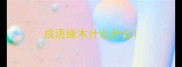 成语缘木什么什么
