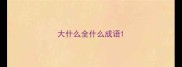 大什么全什么成语