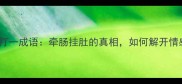 心绳子打一成语牵肠挂肚的真相如何解开情感枷锁