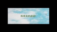 料有关的成语