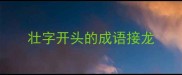 壮字开头的成语接龙