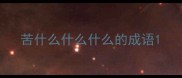 苦什么什么什么的成语
