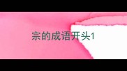 宗的成语开头