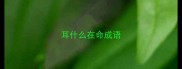 耳什么在命成语