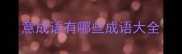 意成语有哪些成语大全