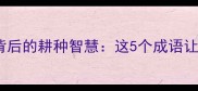 布谷催耕成语布谷鸟背后的耕种智慧这5个成语让你秒变诗词达人