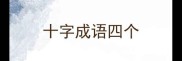 十字成语四个